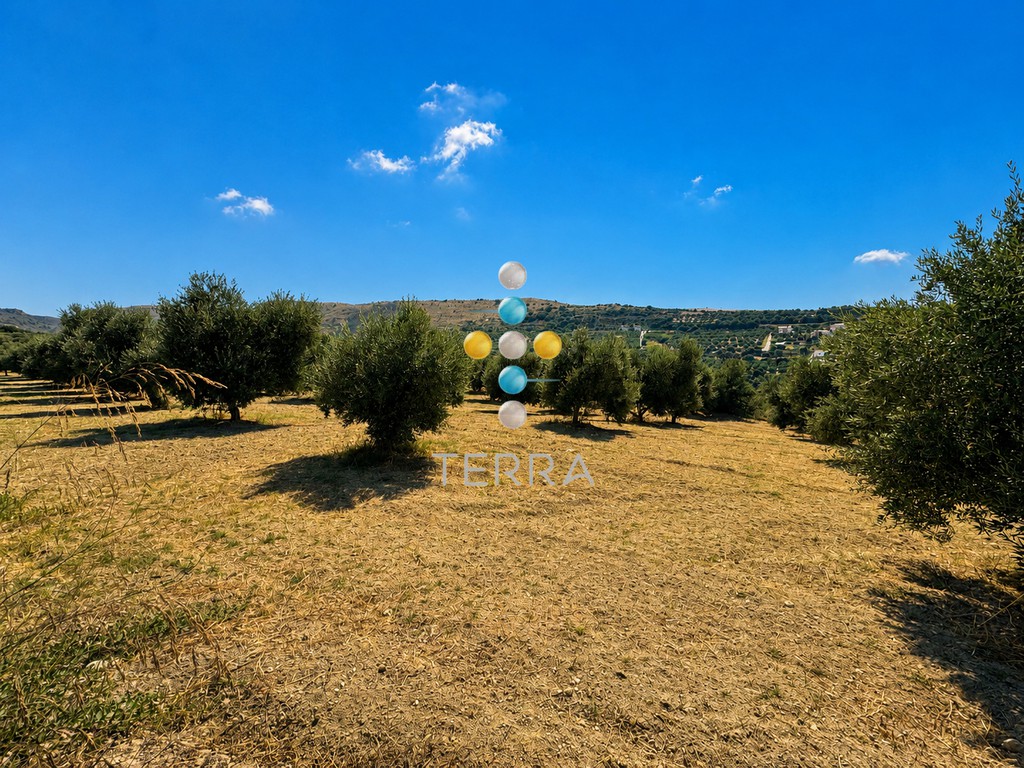Οικόπεδο 6.238 τ.μ. πρός πώληση, Ν. Ρεθύμνου, Αρκάδι