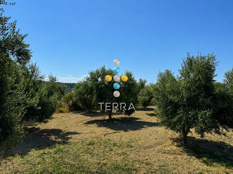 Οικόπεδο 6.238 τ.μ. πρός πώληση