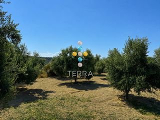 Οικόπεδο 6.238 τ.μ. για πώληση