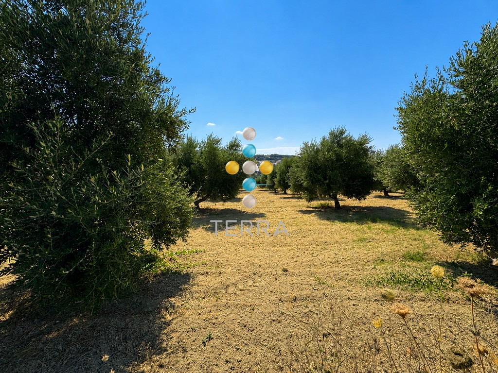 Οικόπεδο 6.238 τ.μ. πρός πώληση, Ν. Ρεθύμνου, Αρκάδι