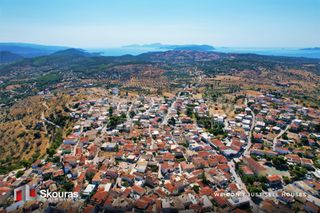 Μονοκατοικία 100 τ.μ. για πώληση, Αργολίδα, Κρανίδι-thumb-23