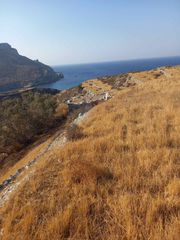 Οικόπεδο 5.767 τ.μ. για πώληση