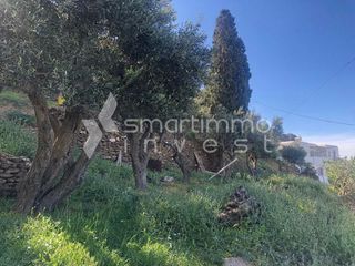 Οικόπεδο 950 τ.μ. για πώληση, Κυκλάδες, Τήνος-thumb-5