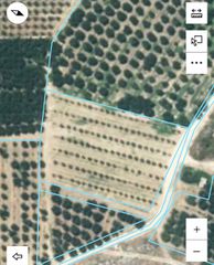 Αγροτεμάχια 3.913 τ.μ. προς ενοικίαση, Ορφάνι-thumb-1