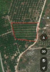 Αγροτεμάχια 3.913 τ.μ. προς ενοικίαση, Ορφάνι-thumb-2