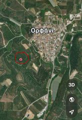 Αγροτεμάχια 6.874 τ.μ. για ενοικίαση, Ν. Καβάλας, Ορφανό-thumb-3