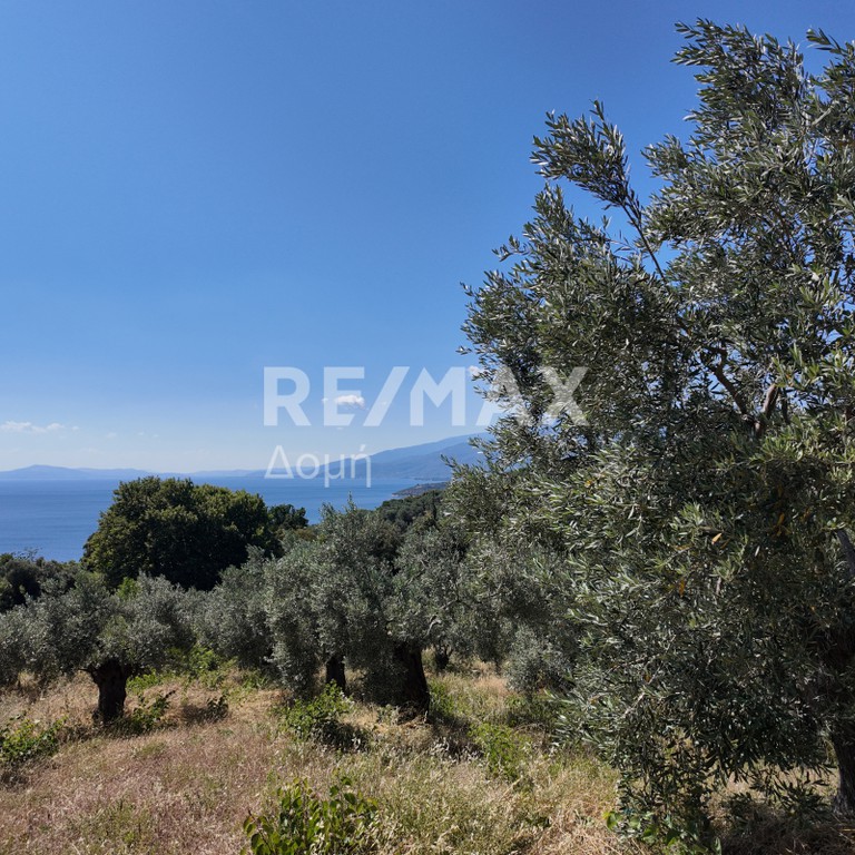 Αγροτεμάχια 2.497 τ.μ. πρός πώληση, Μαγνησία, Αργαλαστή