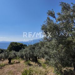 Αγροτεμάχια 2.497 τ.μ. για πώληση