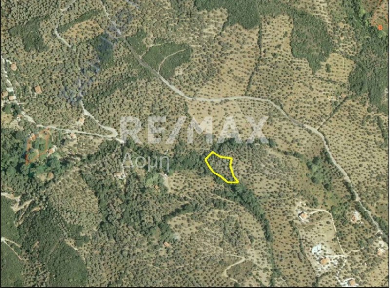Αγροτεμάχια 2.497 τ.μ. πρός πώληση, Μαγνησία, Αργαλαστή