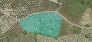 Αγροτεμάχια 12.380 τ.μ. για πώληση