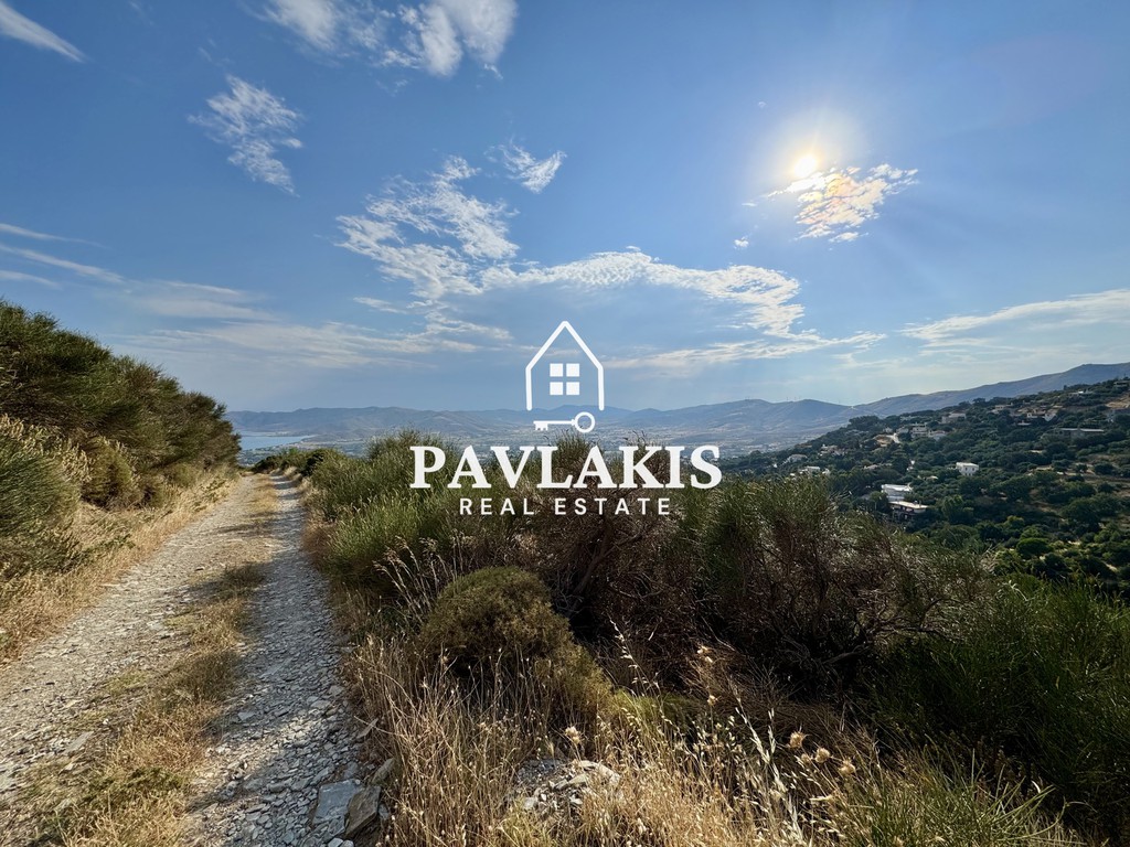 Αγροτεμάχια 7.236 τ.μ. πρός πώληση, Εύβοια, Κάρυστος