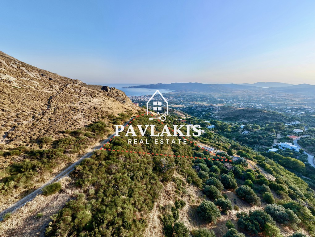 Αγροτεμάχια 7.236 τ.μ. πρός πώληση, Εύβοια, Κάρυστος
