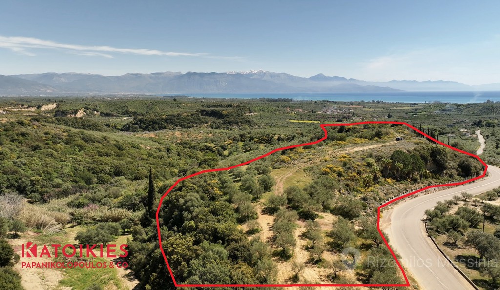 Οικόπεδο 14.050 τ.μ. για πώληση, Μεσσηνία, Πεταλίδι