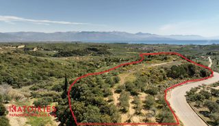 Οικόπεδο 14.050 τ.μ. για πώληση