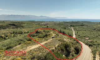 Οικόπεδο 7.050 τ.μ. για πώληση, Μεσσηνία, Πεταλίδι-thumb-1