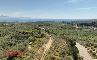 Οικόπεδο 7.000 τ.μ. για πώληση, Μεσσηνία, Πεταλίδι-thumb-3