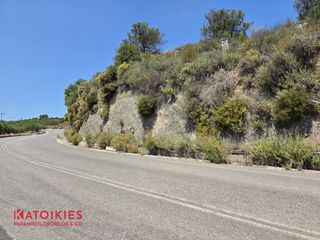 Οικόπεδο 7.000 τ.μ. για πώληση, Μεσσηνία, Πεταλίδι-thumb-12