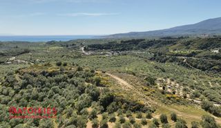Οικόπεδο 7.000 τ.μ. για πώληση