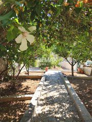 Οικόπεδο 710 τ.μ. για πώληση, Αττική - Υπόλοιπο, Ραφήνα-thumb-20