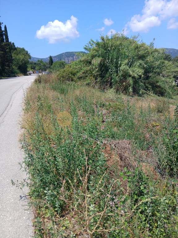 Αγροτεμάχια 3.038 τ.μ. προς πώληση, Παλαιοκαστρίτσα