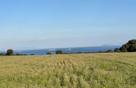Αγροτεμάχια 4.020 τ.μ. προς πώληση