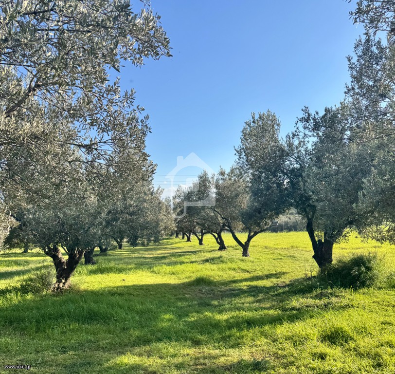 Αγροτεμάχια 4.020 τ.μ. προς πώληση, Κυράς Βρύση Λουτρακίου-Περαχώρας
