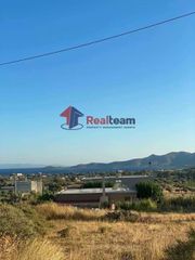 Οικόπεδο 1.339 τ.μ. για πώληση, Εύβοια, Κάρυστος-thumb-3