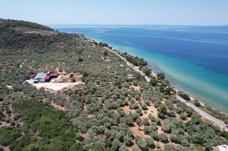 Αγροτεμάχια 545 τ.μ. για πώληση