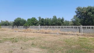 Οικόπεδο 1.360 τ.μ. για πώληση, Μεσσηνία, Μεσσήνη-thumb-1