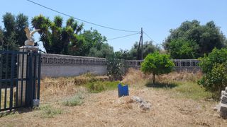 Οικόπεδο 1.360 τ.μ. για πώληση, Μεσσηνία, Μεσσήνη-thumb-2