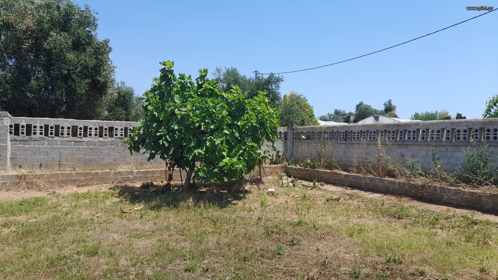 Οικόπεδο 1.360 τ.μ. πρός πώληση, Μεσσηνία, Μεσσήνη