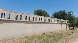 Οικόπεδο 1.360 τ.μ. για πώληση, Μεσσηνία, Μεσσήνη-thumb-6