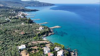 Οικόπεδο 2.400 τ.μ. για πώληση, Μεσσηνία, Αβία-thumb-9