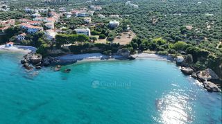 Οικόπεδο 2.400 τ.μ. για πώληση, Μεσσηνία, Αβία-thumb-10
