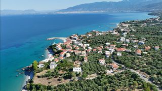 Οικόπεδο 2.400 τ.μ. για πώληση, Μεσσηνία, Αβία-thumb-19