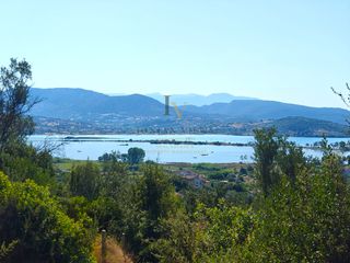 Αγροτεμάχια 4.041 τ.μ. για πώληση