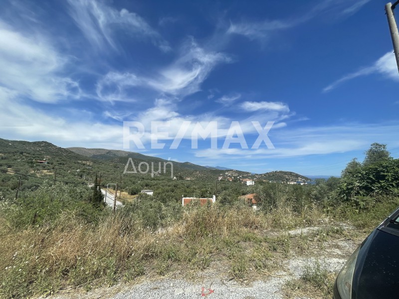 Οικόπεδο 318 τ.μ. πρός πώληση, Μαγνησία, Νέα Αγχίαλος