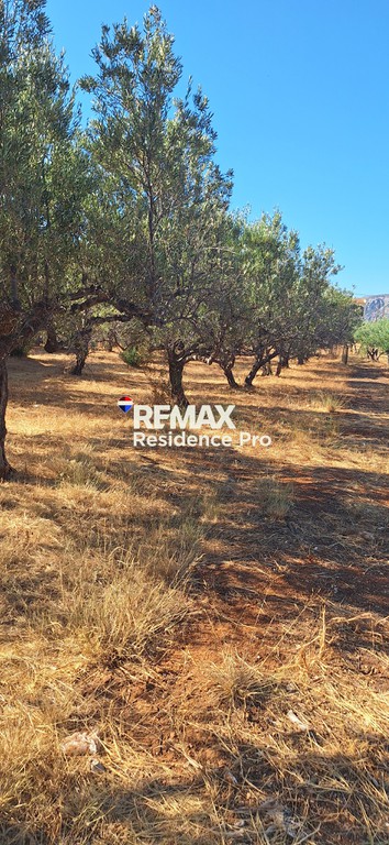 Οικόπεδο 889,28 τ.μ. πρός πώληση, Ν. Ηρακλείου, Χερσόνησος