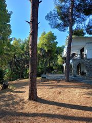 Βίλλα 200 τ.μ. προς πώληση, Καρύδι Σιθωνίας-thumb-59