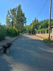 Βίλλα 200 τ.μ. προς πώληση, Καρύδι Σιθωνίας-thumb-63