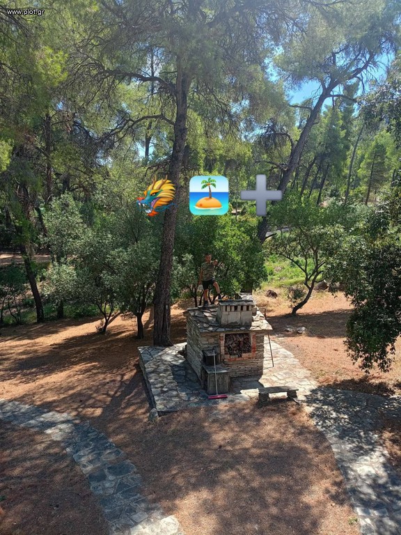Βίλλα 200 τ.μ. πρός πώληση, Χαλκιδική, Σιθωνία