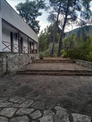 Βίλλα 200 τ.μ. προς πώληση, Καρύδι Σιθωνίας-thumb-56