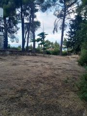 Βίλλα 200 τ.μ. προς πώληση, Καρύδι Σιθωνίας-thumb-42