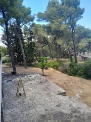 Βίλλα 200 τ.μ. προς πώληση, Καρύδι Σιθωνίας-thumb-6