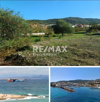 Αγροτεμάχια 4.500 τ.μ. πρός πώληση