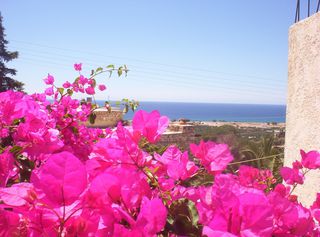 Συγκρότημα διαμερισμάτων 480 τ.μ. για πώληση, Ν. Λασιθίου, Ιεράπετρα-thumb-24