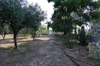 Οικόπεδο 6.000 τ.μ. για πώληση, Βοιωτία, Σχηματάρι-thumb-7