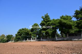 Οικόπεδο 6.000 τ.μ. για πώληση, Βοιωτία, Σχηματάρι-thumb-19