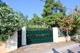 Οικόπεδο 6.000 τ.μ. για πώληση