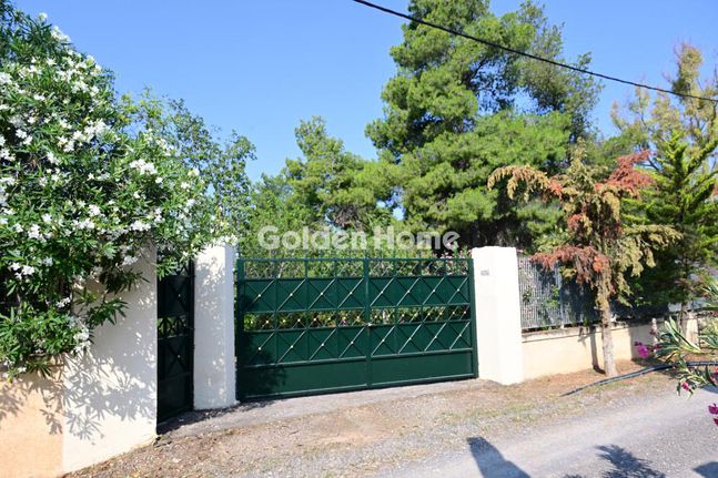 Οικόπεδο 6.000 τ.μ. για πώληση, Βοιωτία, Σχηματάρι